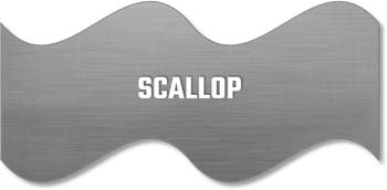 scallop blank